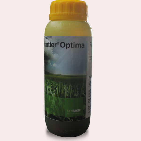 frontier optima