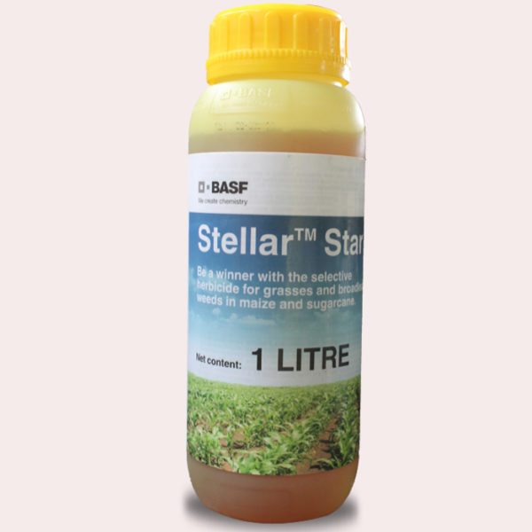 stellar star